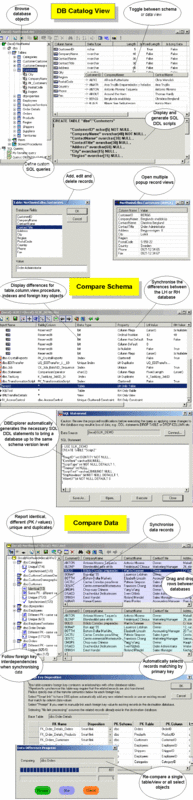 DBExplorer Screenshot